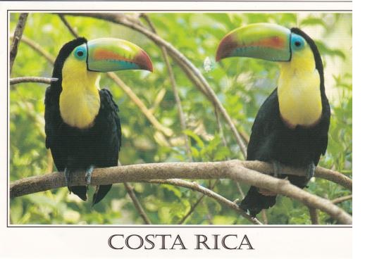 wiki San Jos%C%%C%A Costa Rica wiki San Jos%C%%C%A Costa Rica
